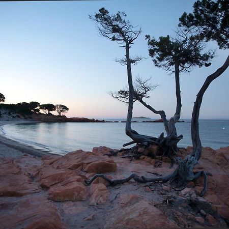 Residence U Latonu - Palombaggia Πόρτο Βέκιο Εξωτερικό φωτογραφία