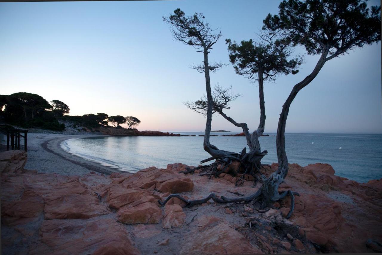 Residence U Latonu - Palombaggia Πόρτο Βέκιο Εξωτερικό φωτογραφία