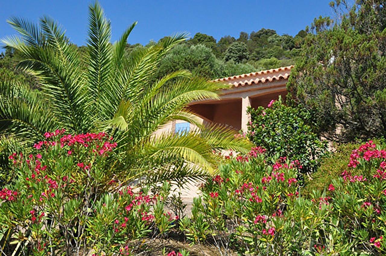 Residence U Latonu - Palombaggia Πόρτο Βέκιο Εξωτερικό φωτογραφία