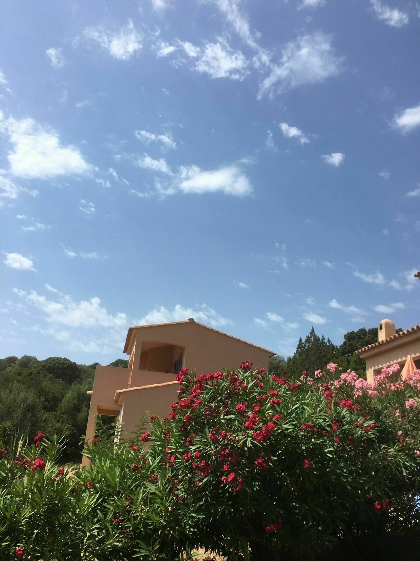 Residence U Latonu - Palombaggia Πόρτο Βέκιο Εξωτερικό φωτογραφία